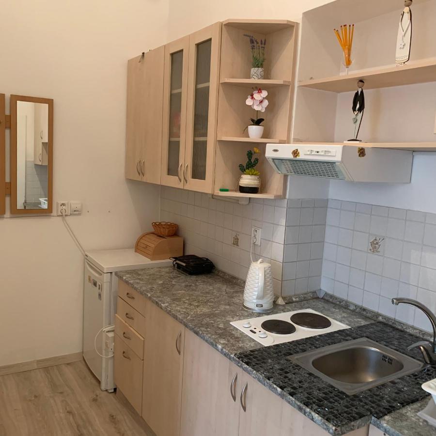Ksenia Apartment Карлови Вари Екстериор снимка