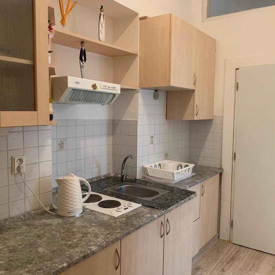 Ksenia Apartment Карлови Вари Екстериор снимка